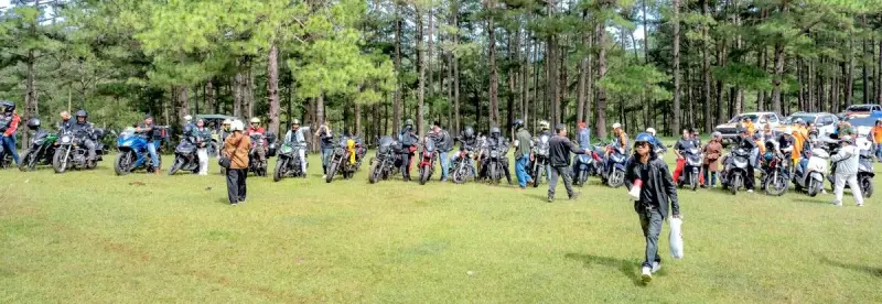 Riders gathered in a pine forest